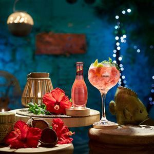 Schweppes amplía y renueva su gama premium