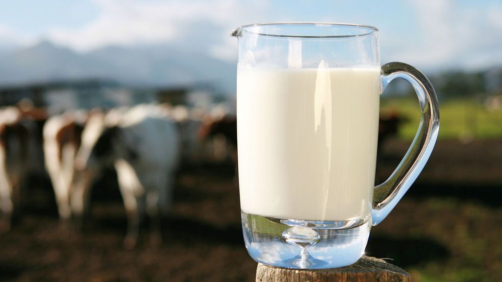La leche fresca, reina del sabor durante 15 días