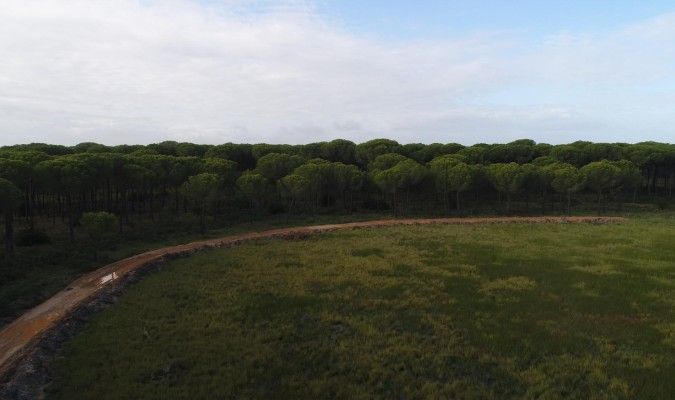 El ‘milagro’ de convertir cerveza en agua