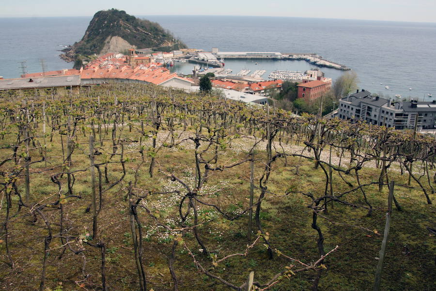 El txakoli, de vino peleón a caldo de moda en EE UU
