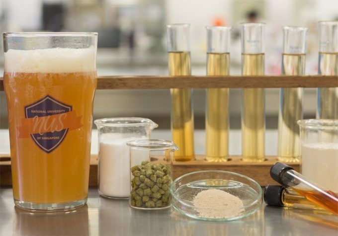 Nueva cerveza amarga probiótica
