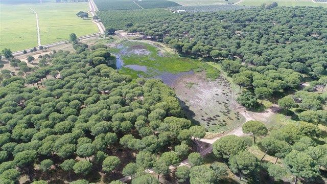Proyecto Doñana: Heineken España restaura humedales en un espacio natural y retorna 420 millones de litros de agua