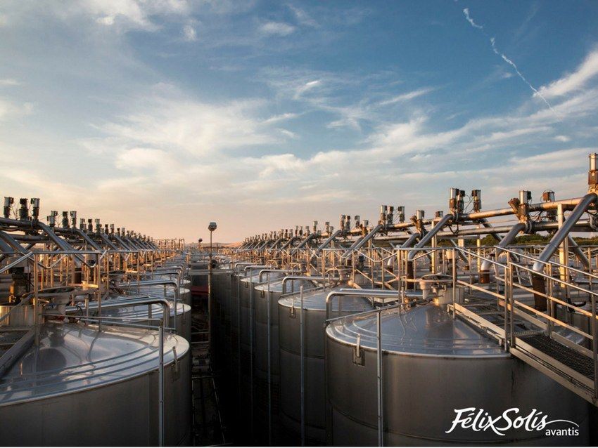 Félix Solís Avantis está entre las cinco mejores bodegas del mundo