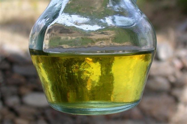 Las exportaciones de aceite de oliva se disparan un 28% en los últimos ocho meses de campaña
