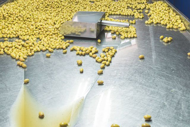 Cinco empresas españolas buscan métodos rápidos para el análisis de aceituna y aceite de oliva