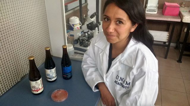 Yolanda Ríos, ingeniosa mexicana obtiene nueva levadura y comercializa cuatro marcas de cerveza artesanal