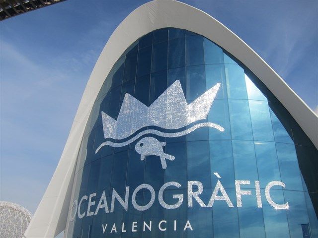 El Oceanogràfic muestra el valor culinario y cultural de los océanos