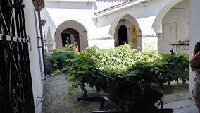Barbadillo inicia su vendimia 2017