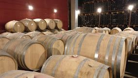 SUMARROCA YA HACE MÁS CAVA QUE VINO CON UN PRODUCTO PARA EL MERCADO GAY