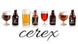 Una cerveza extremeña, elegida la mejor de España en los World Beer Awards
