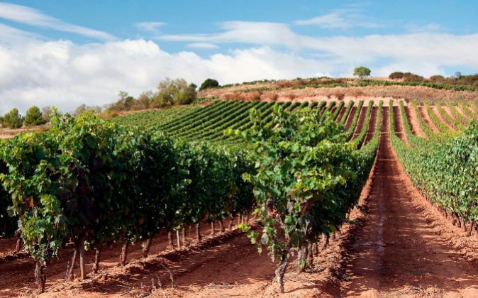 Paso adelante de la denominación Rioja