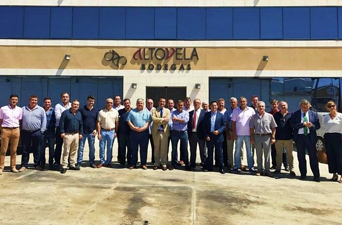 Luz verde para crear la mayor comercializadora de vinos de Toledo
