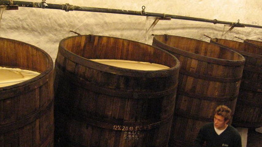 Esta es la cerveza artesana que ha permitido descubrir un nuevo microbio
