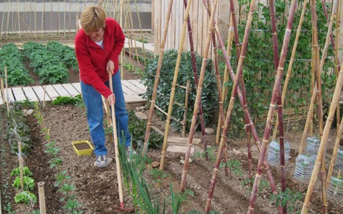 Zaragoza fomenta el consumo de productos procedentes de la huerta ecológica en los restaurantes