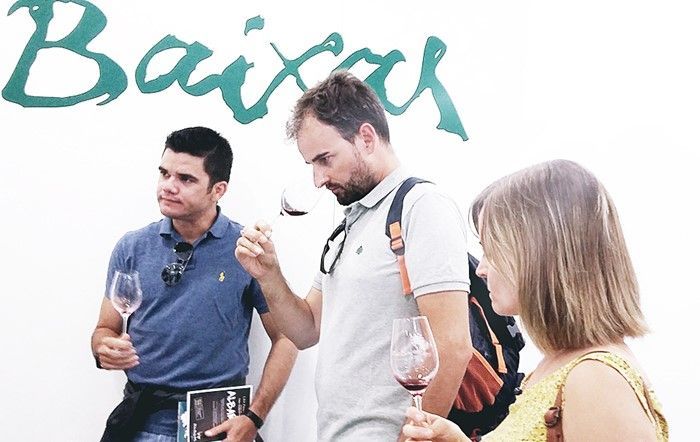 Visitantes procedentes de toda España en la Feria del Albariño Rías Baixas
