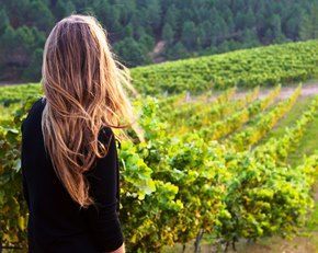 Propuestas veraniegas de Enoturismo Galicia por sus 5 rutas del vino