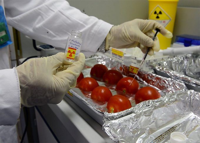 Día Mundial de la Seguridad Alimentaria