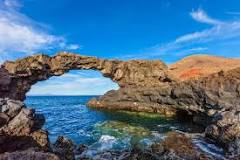 La producción de aceite de oliva crece en Canarias