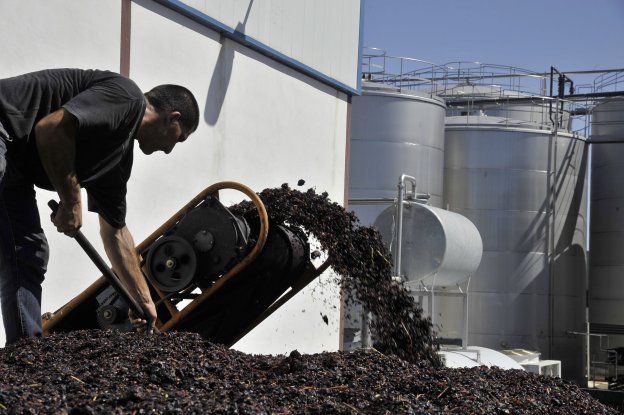 Convocan ayudas para la promoción internacional del vino extremeño