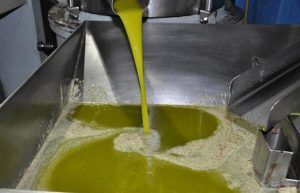 El girasol refinado sigue ganando terreno en el mercado y ‘canibaliza’ al aceite de oliva por su alto precio