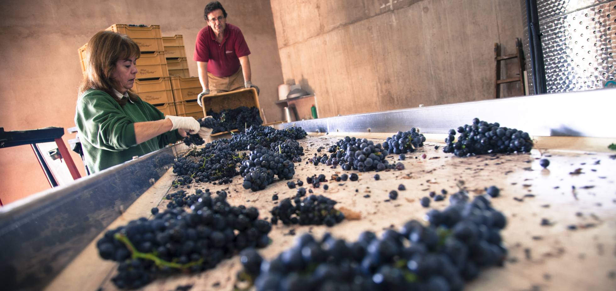 El buen momento del vino español