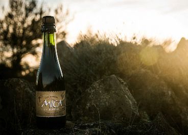 Calidad Pascual impulsa Cerveza Mica