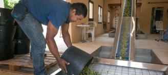 Los productores de aceite prevén una cosecha excelente