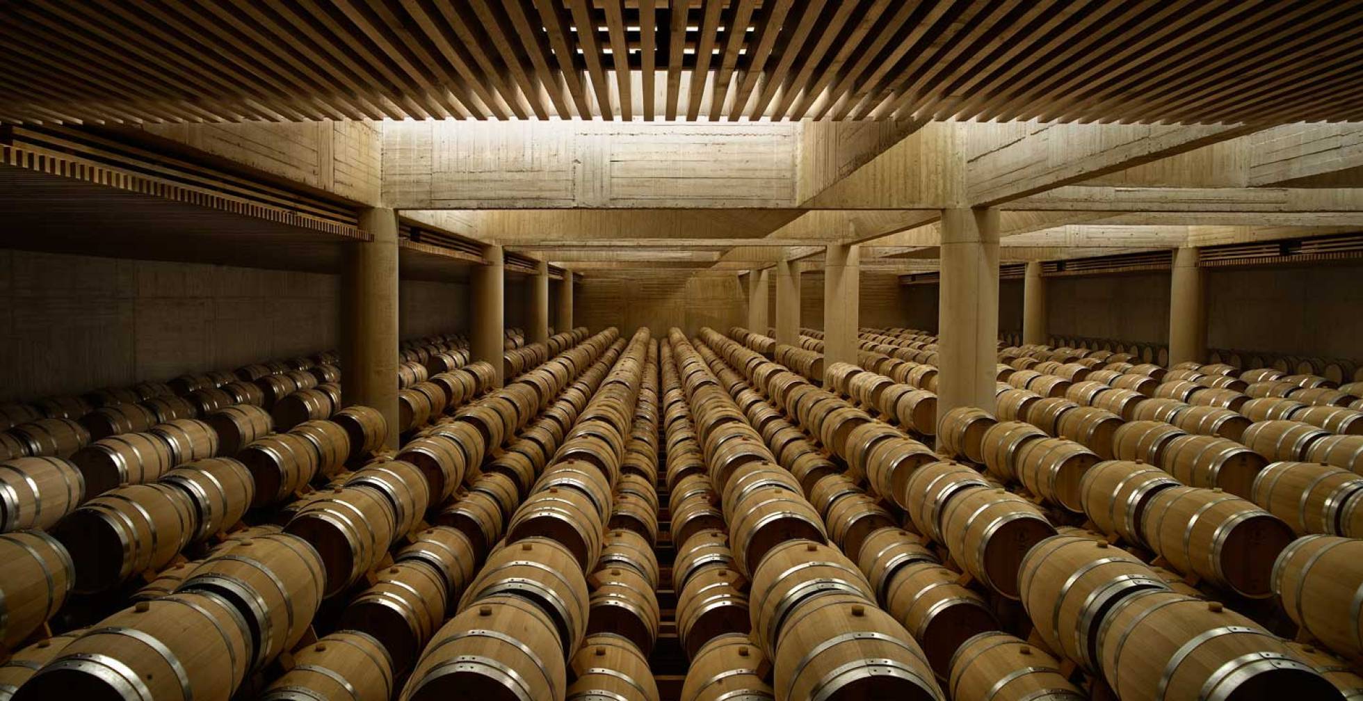 Llega el vino que evita el dolor de cabeza