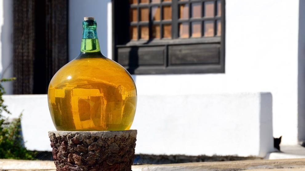 Las bodegas que deberías apuntarte para entender la moda de los vinos canarios