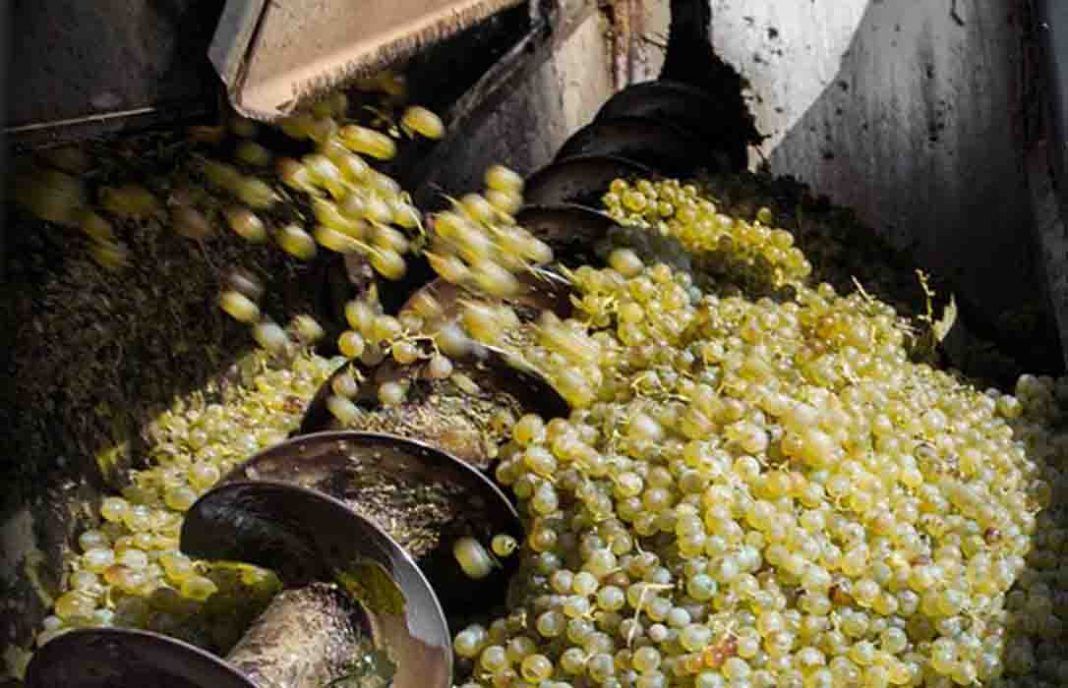La cosecha mundial más baja del siglo mueve al alza los precios del vino con una tendencia sin fecha de caducidad