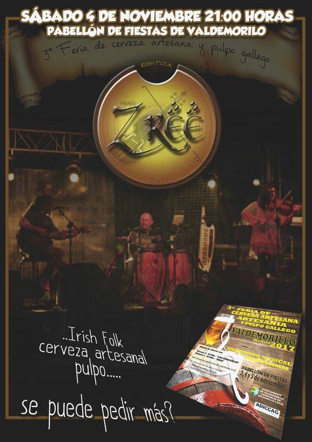Feria de la Cerveza Artesana de Valdemorillo.