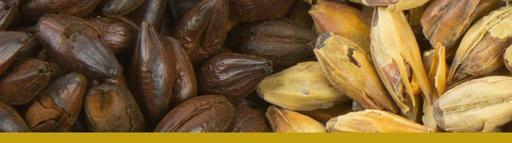 Cómo debes mantener tu equipo para la elaboración de cerveza casera