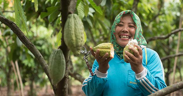 Mondelēz International presenta los primeros resultados de su programa Cocoa Life en Indonesia