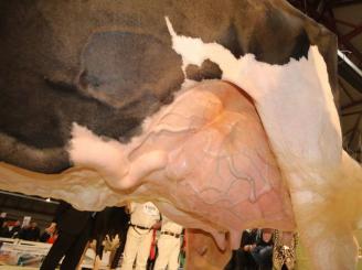 La leche sube por segundo mes y se sitúa en 30,3 céntimos