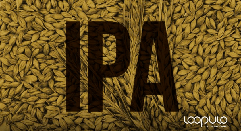 Cómo hacer tu propia cerveza IPA, paso a paso