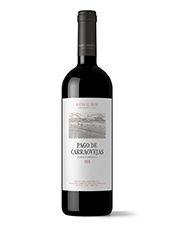 PAGO DE CARRAOVEJAS DA EL PASO DEFINITIVO HACIA LOS VINOS DE TERRUÑO