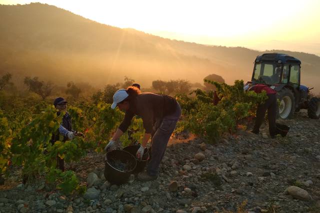 Viñas del Vero, premio al mejor vino tinto de España gracias a su Secastilla 2012
