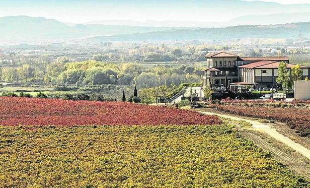 Bodegas Manzanos compra la histórica marca Siglo a Pernod Ricard Bodegas