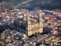 El sector oleícola despide un año seco pero muy rentable