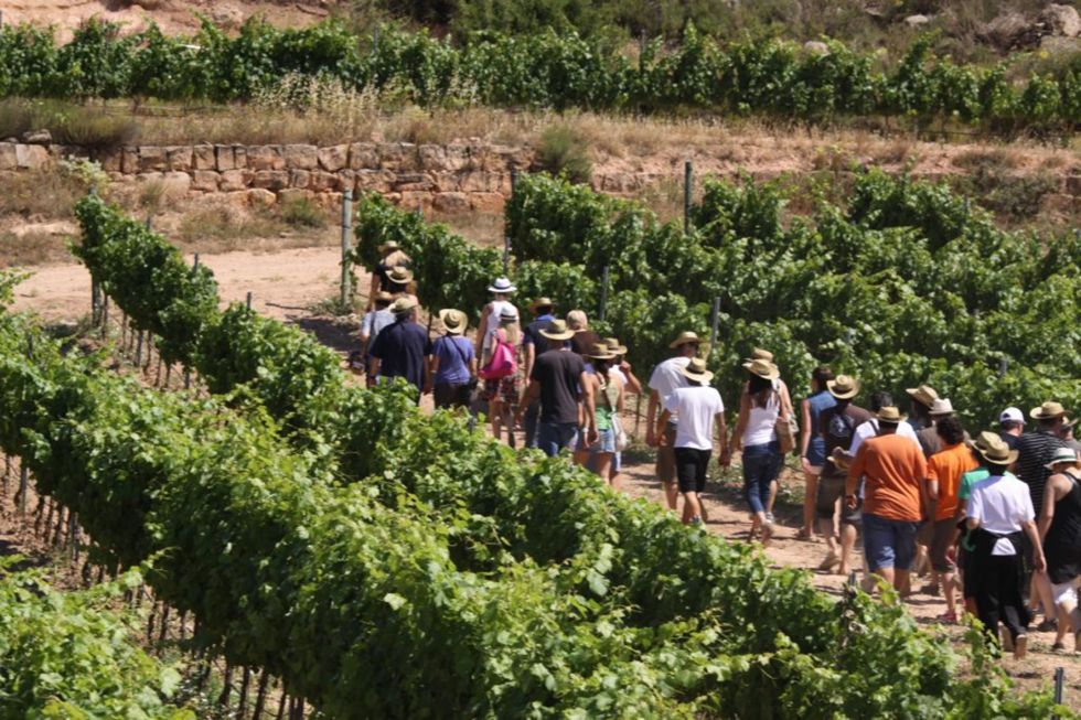 Lleida se posiciona como destino turístico del vino y la gastronomía a través de la Ruta del Vino de Lleida