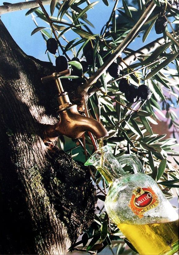 Vallejo, uno de los aceites favoritos de los jeques del desierto, marca top de la UE