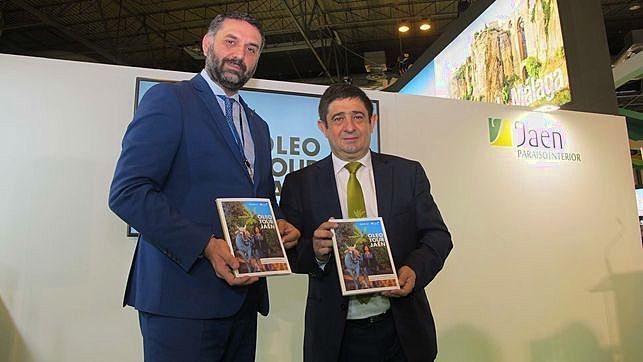 Navegar por el mar de olivos con el aceite como protagonista