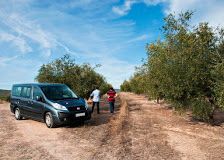 “El oleoturismo nos ayuda a vender mejor el aceite”