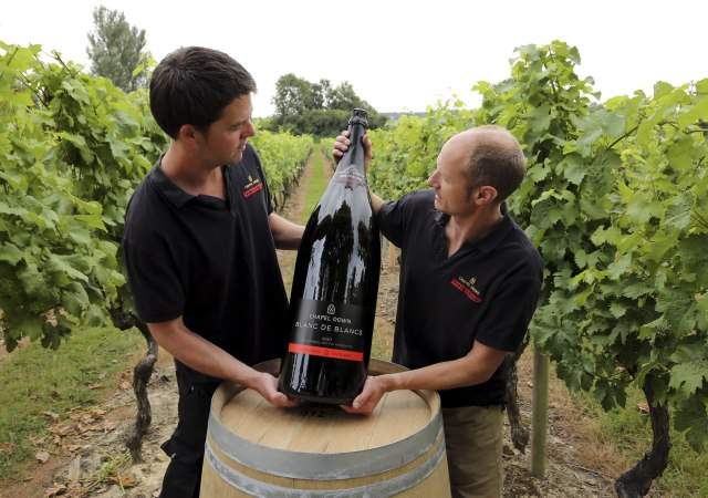 Las seis novedades del mundo del vino en 2018