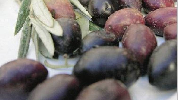 El aceite de oliva al fin se abarata.