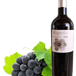 El vino Magnolia Garnacha 2016, de una bodega albaceteña, doble oro en los premios Sakura Japan Women’s Wine Awards