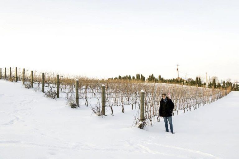 De D.O. Rioja a D.O. Washington State Wines