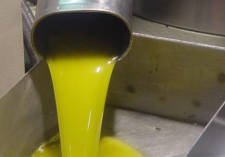 O_Live! III Congreso Internacional sobre Aceite de Oliva Virgen, Olivar y Salud