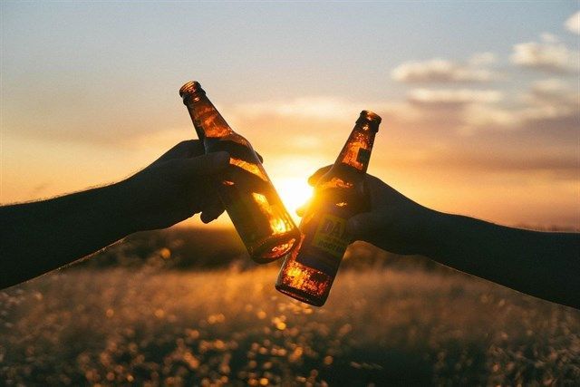 El consumo moderado de cerveza, un posible aliado ante los virus