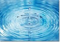 La fiebre del agua